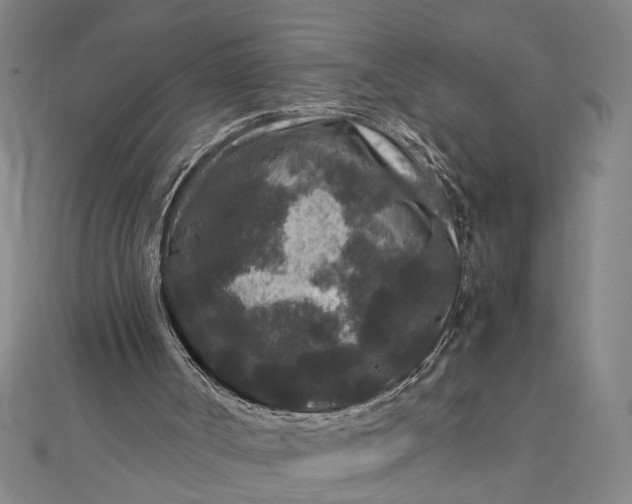 X0000111840002200908061303