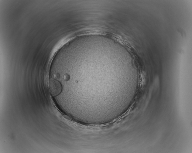 X0000111840004200908061303