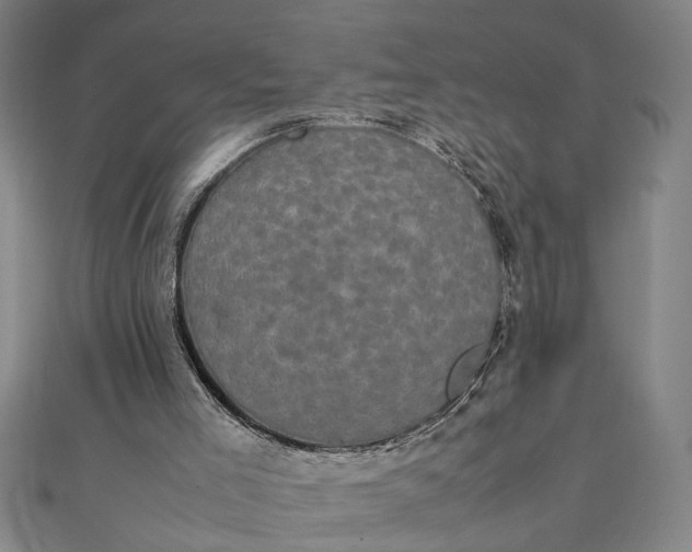 X0000111840005200908061303