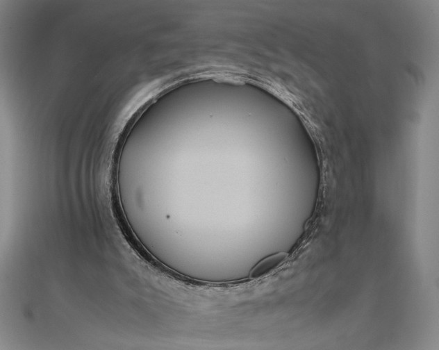 X0000111840007200908061303