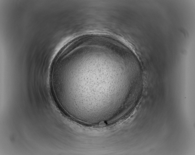 X0000111840008200908061303