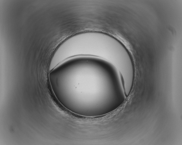 X0000111840009200908061303