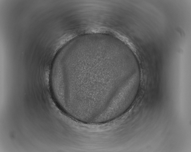 X0000111840010200908061303