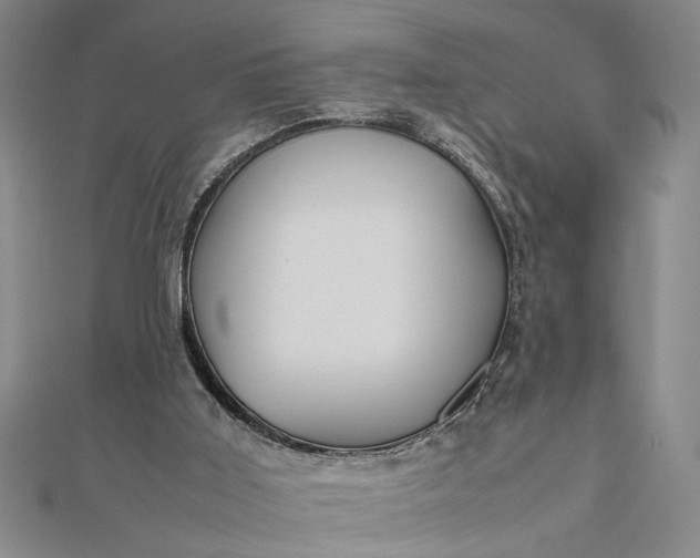 X0000111840011200908061303