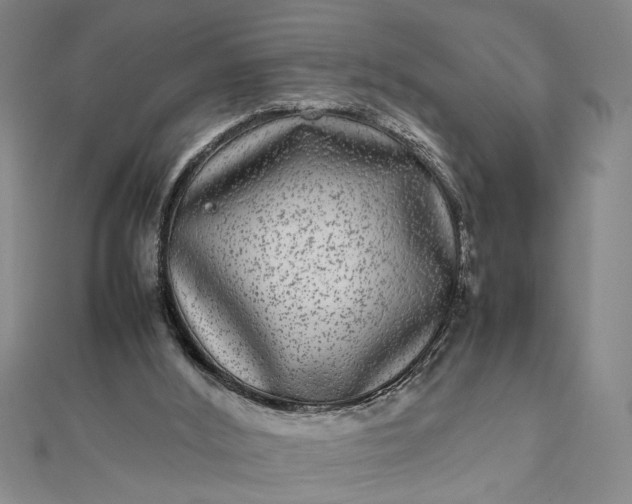 X0000111840012200908061303