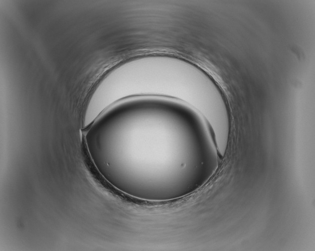 X0000111840013200908061303