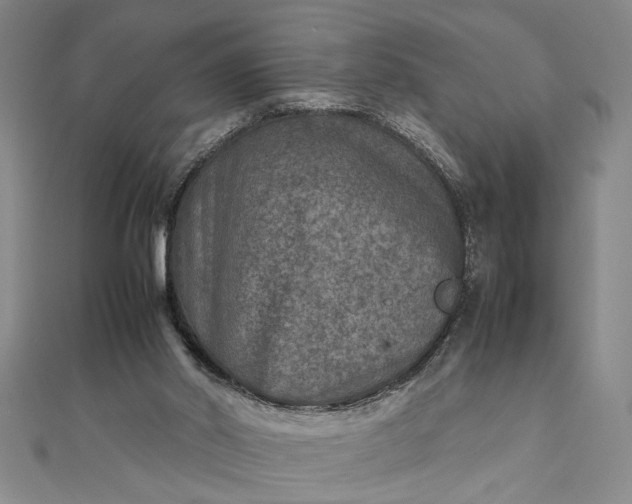 X0000111840014200908061303