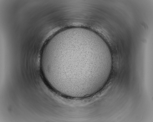 X0000111840016200908061303