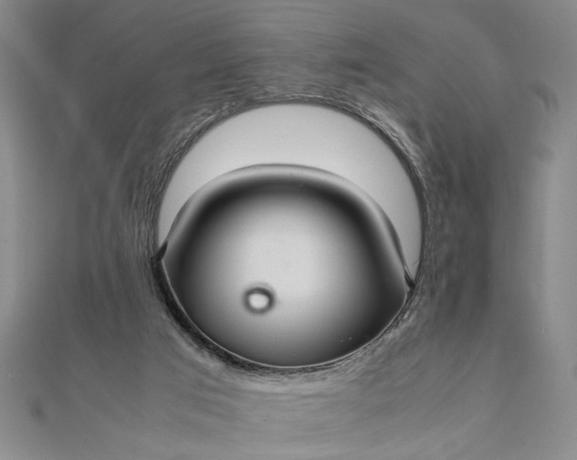 X0000111840017200908061303