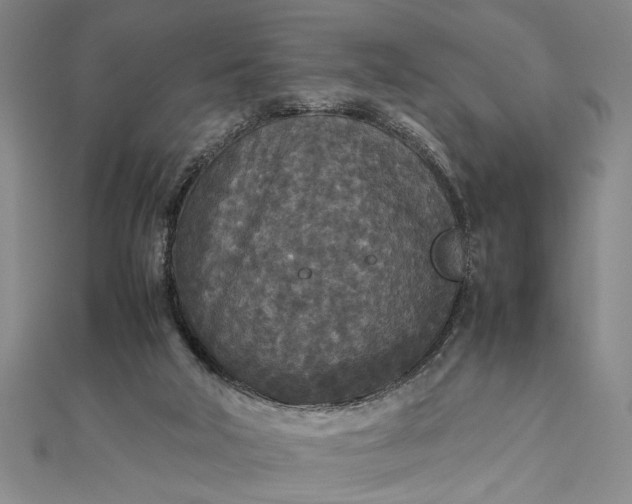 X0000111840018200908061303