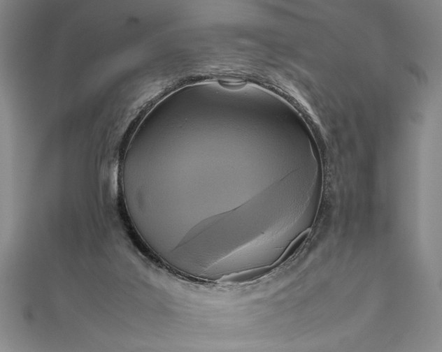 X0000111840019200908061303