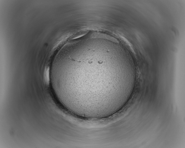 X0000111840020200908061303