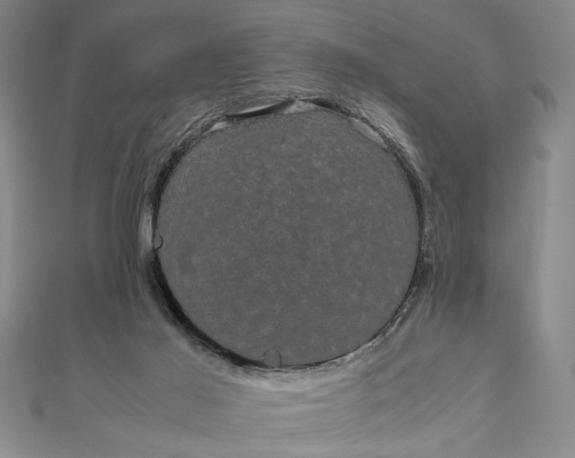 X0000111840021200908061303