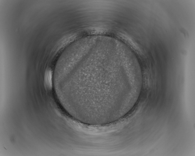 X0000111840022200908061303