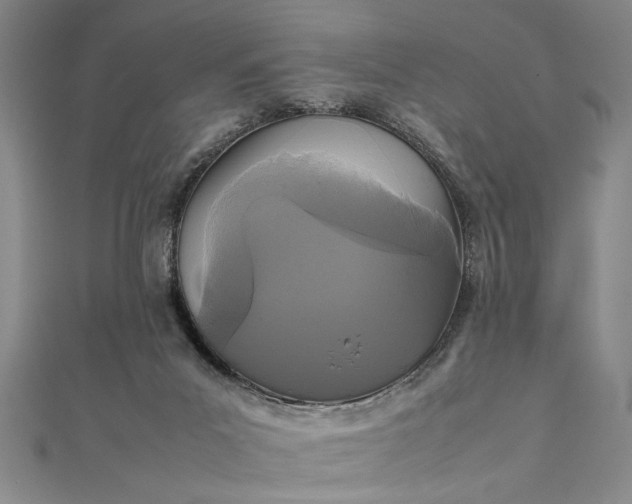 X0000111840023200908061303