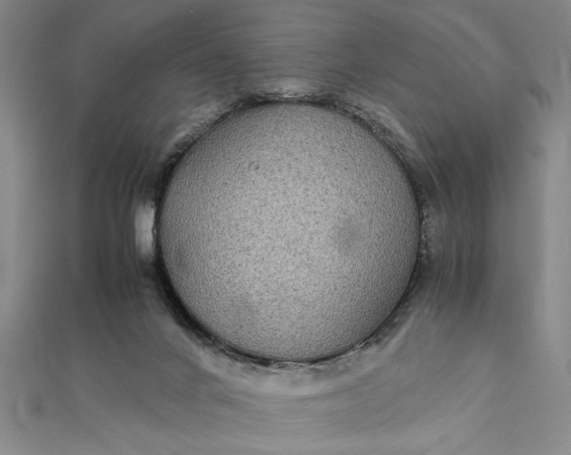 X0000111840024200908061303