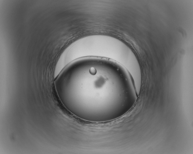 X0000111840025200908061303