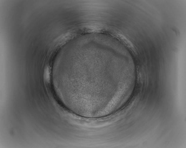 X0000111840026200908061303