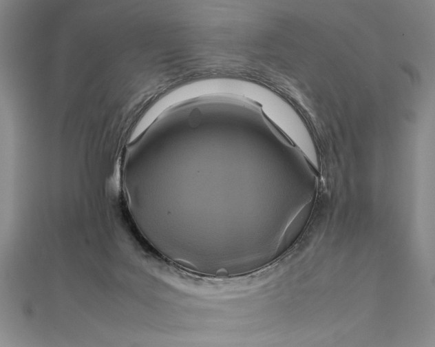 X0000111840027200908061303