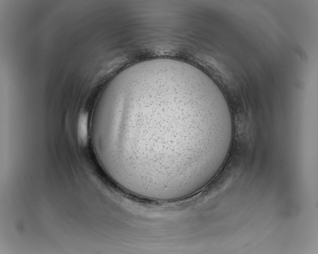 X0000111840028200908061303