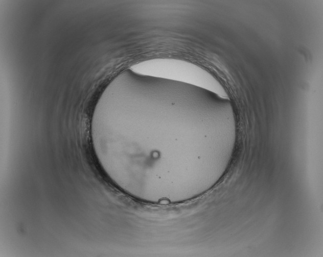 X0000111840029200908061303