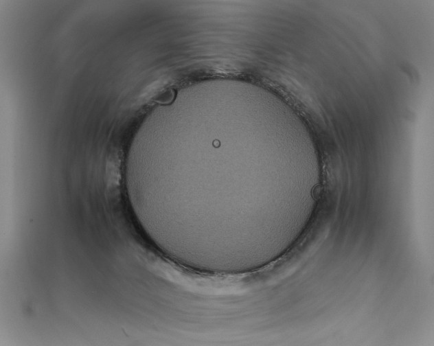 X0000111840032200908061303