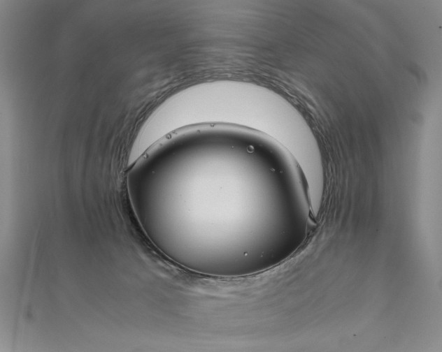 X0000111840033200908061303