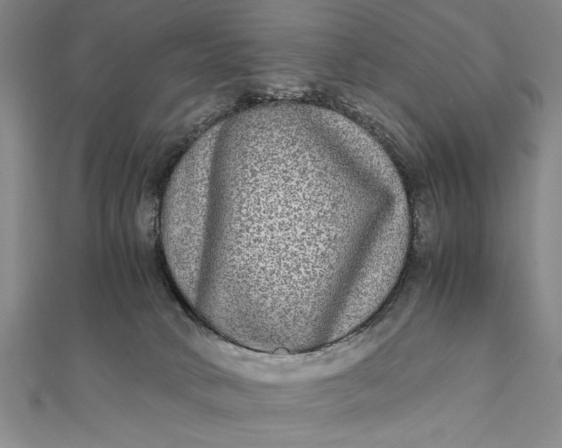 X0000111840034200908061303