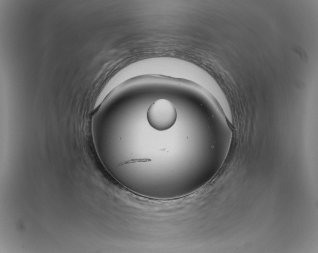 X0000111840035200908061303