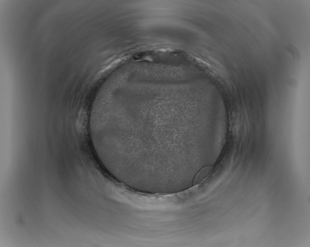 X0000111840036200908061303