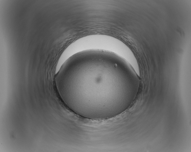 X0000111840037200908061303