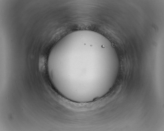 X0000111840038200908061303