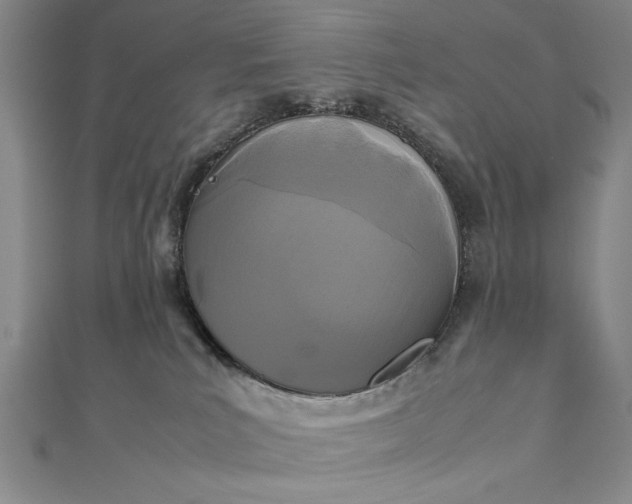 X0000111840039200908061303