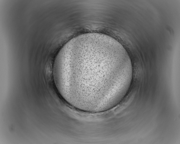 X0000111840040200908061302