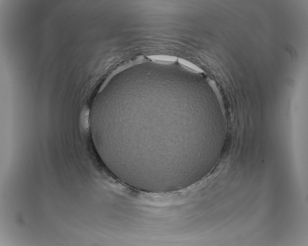 X0000111840041200908061302