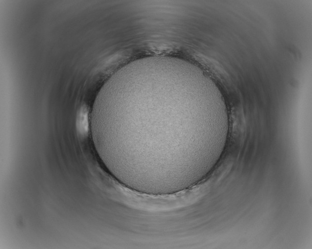 X0000111840042200908061302