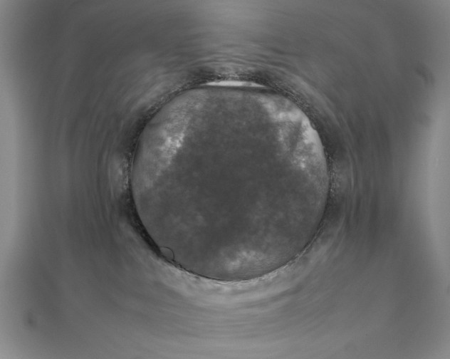 X0000111840043200908061302