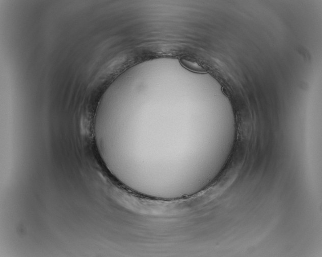 X0000111840044200908061302