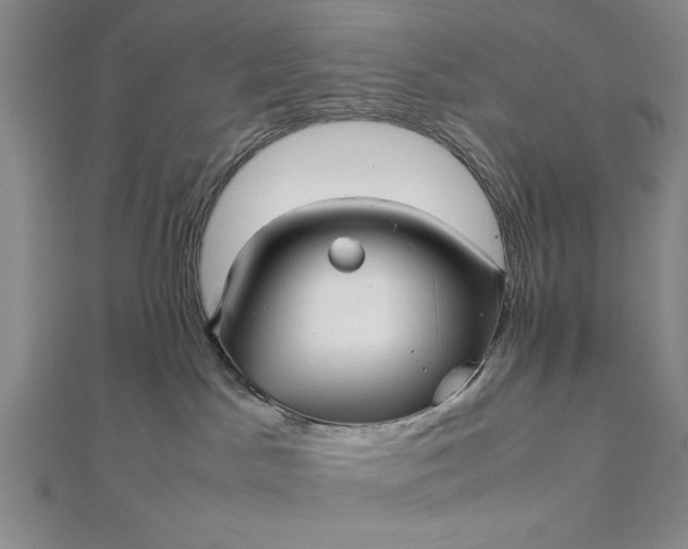 X0000111840045200908061302