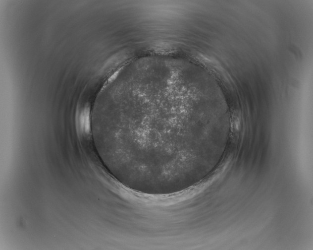 X0000111840046200908061302