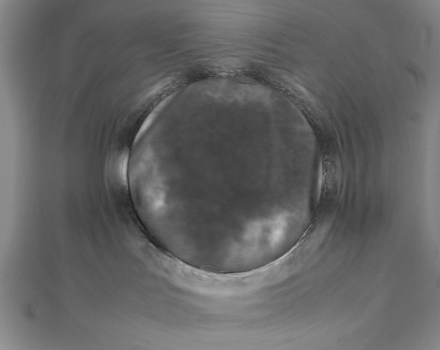 X0000111840047200908061302