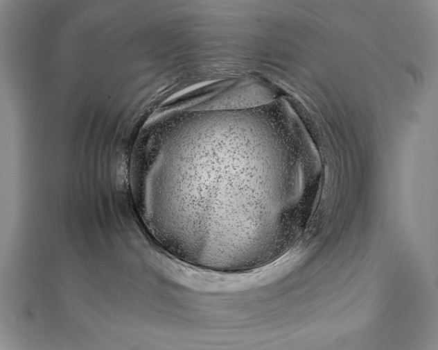 X0000111840048200908061302