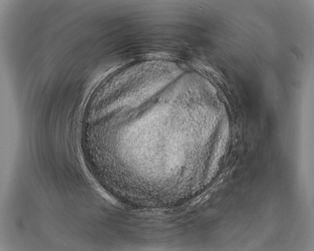 X0000111840049200908061302