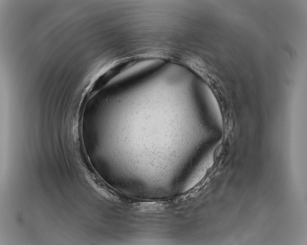 X0000111840050200908061302