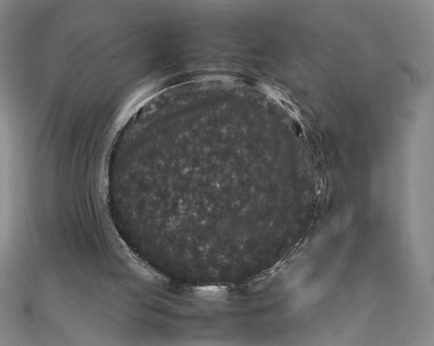 X0000111840053200908061302