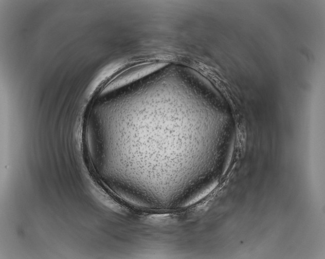 X0000111840054200908061302