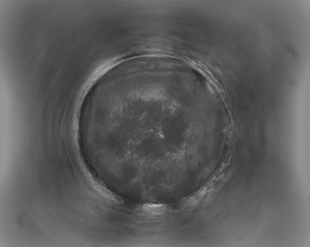 X0000111840055200908061302