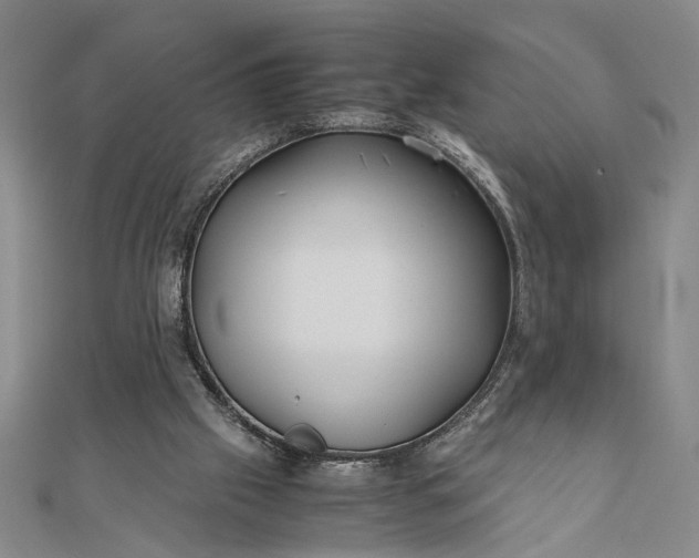 X0000111840057200908061302