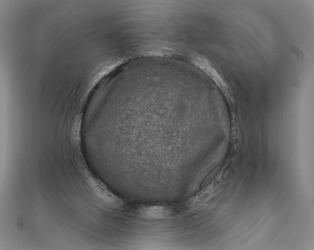 X0000111840058200908061302