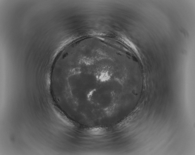 X0000111840059200908061302